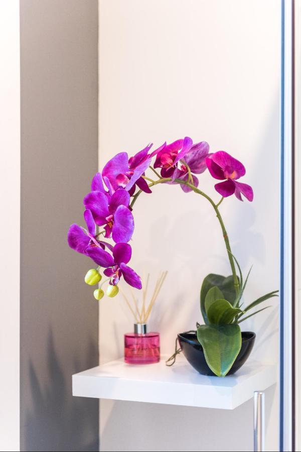 וואנאקה Modern Private Apartment מראה חיצוני תמונה